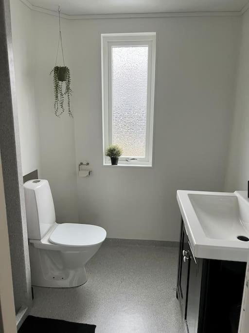 Apartment In The Center Of Torshavn, Free Parking. Buitenkant foto